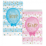 Treat Bags - Pkt 10 - Gender Reveal (Boy/Girl) (336689) - Mad Parties & Supplies
