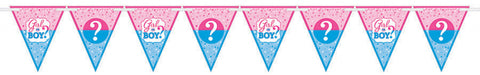 Pennant Banner - Gender Reveal (Girl or Boy?) (120212) - Mad Parties & Supplies