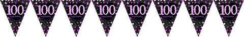 Flag Bunting - 100th (Pink) (9901764) - Mad Parties & Supplies