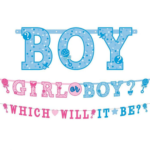 Letter Banner Kit - Gender Reveal (Girl or Boy?) (211573) - Mad Parties & Supplies