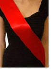 Personalised Custom Sashes - Add Your text (PCS01)
